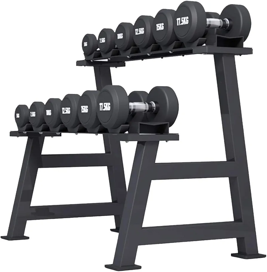 Dumbbell Racks Dumbbell Set with Rack, Home 2-Layers Dumbbell Stand, Indoor Weights Storage Bracket, Strength Training Dumbbell Racks, Easy to Install, Load Bearing 200 KG