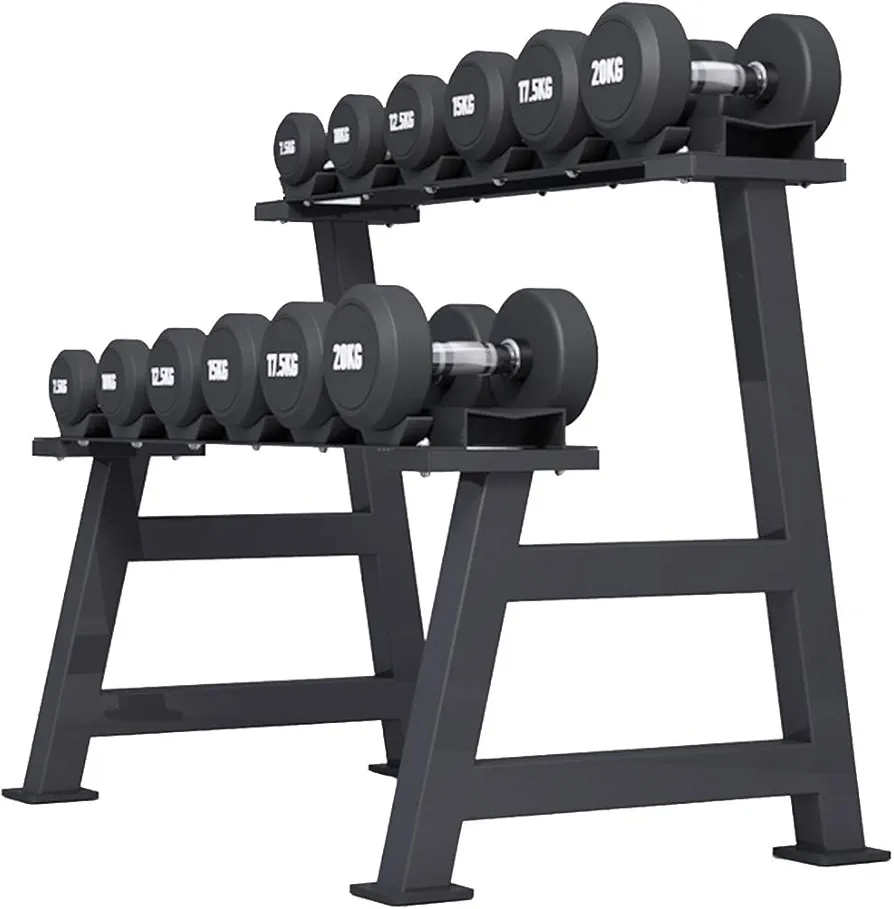 Dumbbell Racks Dumbbell Set with Rack, Home 2-Layers Dumbbell Stand, Indoor Weights Storage Bracket, Strength Training Dumbbell Racks, Easy to Install, Load Bearing 200 KG