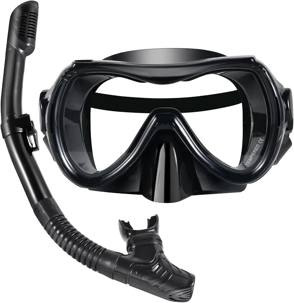 WHOHOLL Snorkeling Gear for Adults, Anti-Fog and Anti-Leak Dry Snorkel Set,180°Panoramic Wide View Diving Mask Snorkel Kit for Snorkeling Scuba Diving Swimming Travel