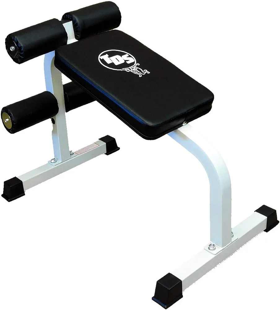 TDS Econo Roman Chair Weight Bench/Abdominal Bench 500 lb Capacity