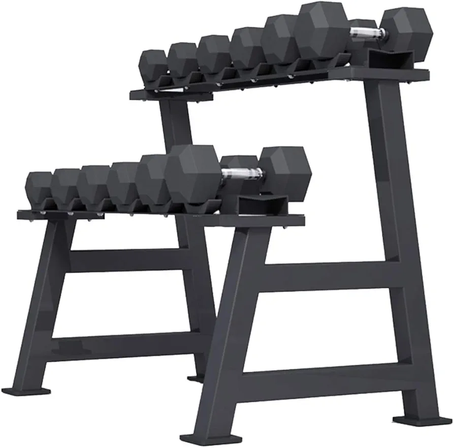 Dumbbell Racks Dumbbell Set with Stand, 2-Layers Dumbbell Rack, Home Weights Storage Rack, Compact Dumbbell Bracket, Easy to Install, Load Bearing 200 KG (Color : Dumbbell Set, Size : 200KG)