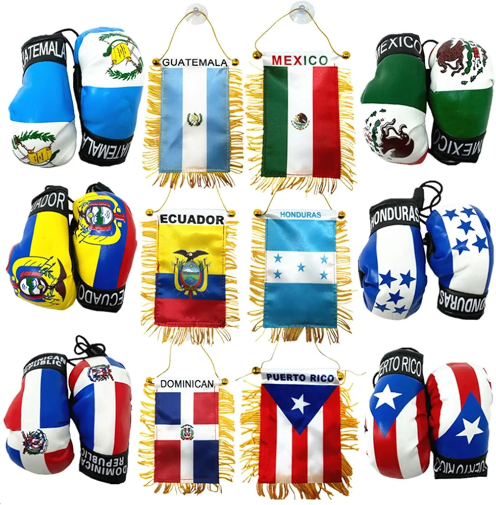 North, Central and South America Country Flag Banner with Mini Boxing Gloves to Hang On Car Mirror, Rear View Mirror, 7 Countries, Gifts