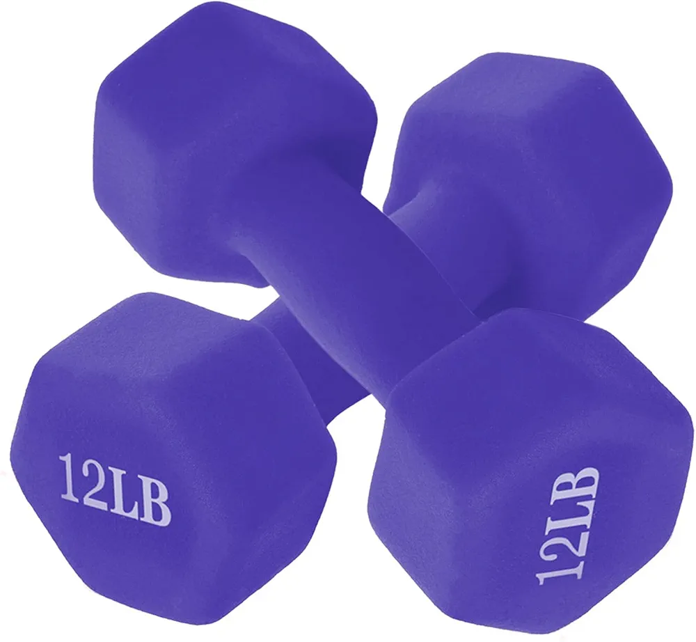 A Pair Dumbbell Barbell Neoprene Coated Hand Weights, Dumb Bells Weights Set, 12lb Dumbbells Set of 2