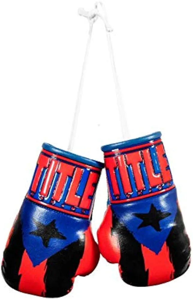 Title Boxing 5" Mini Boxing Gloves