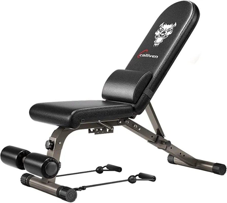 Weight Bench Adjustable, Foldable Press Exercise Gym Bench Decline Bench, Sit Up Incline Abs Benchs for Weightlifting and Strength Training,Black