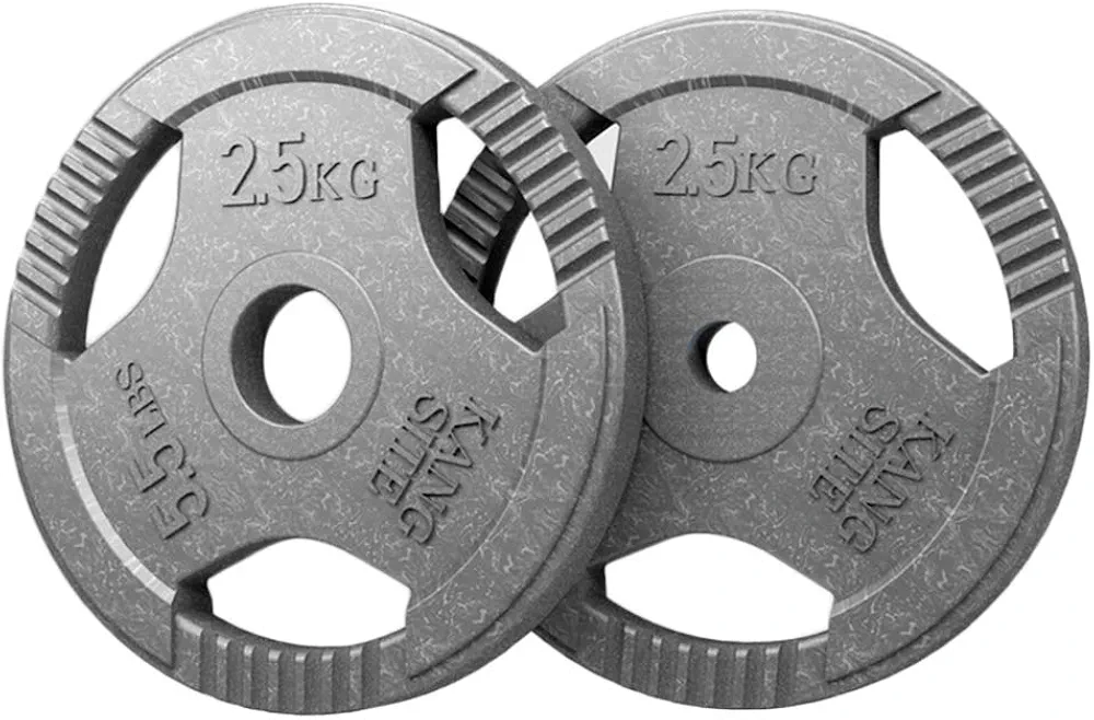 1 Pair - Barbell Weight Plate Gym Weightlifting Cast Iron Discs Home Fitness Dumbbell Discs
