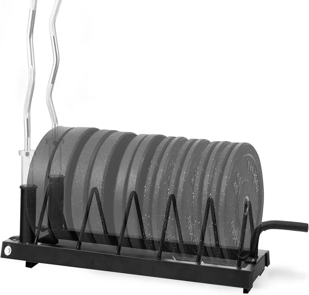 Yes4All 6 Pegs & 4 Barbell Storage Racks Load Up to 1190 LBS - Wall Mounted Weight Plate Tree & Barbell Holder